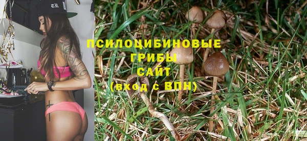 ALPHA-PVP Баксан
